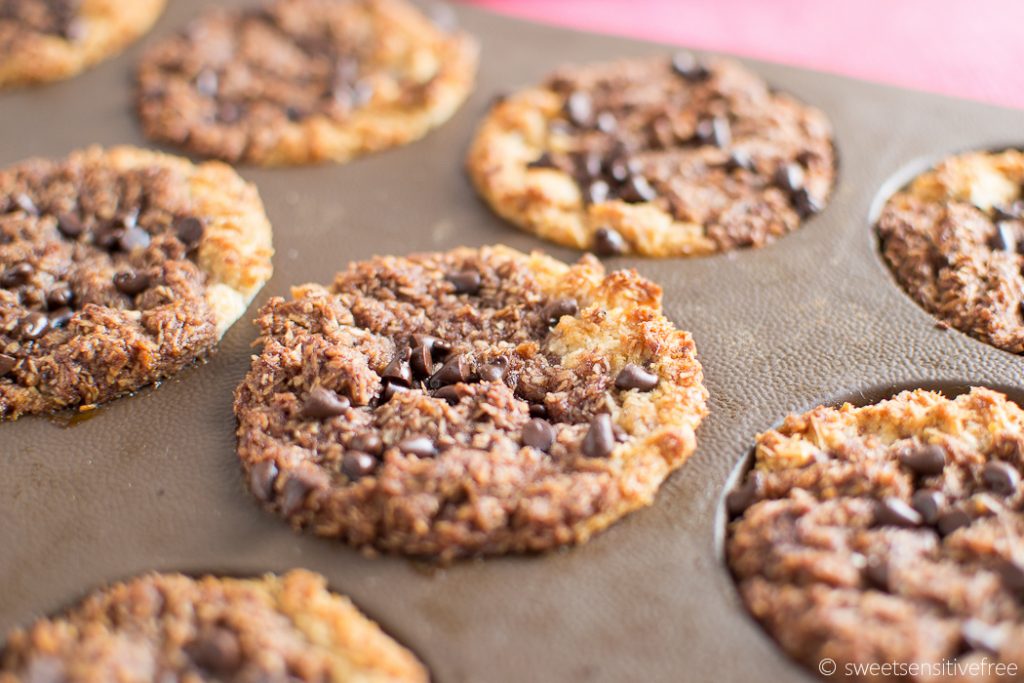 Gluten free vegan chocolate coconut cakes